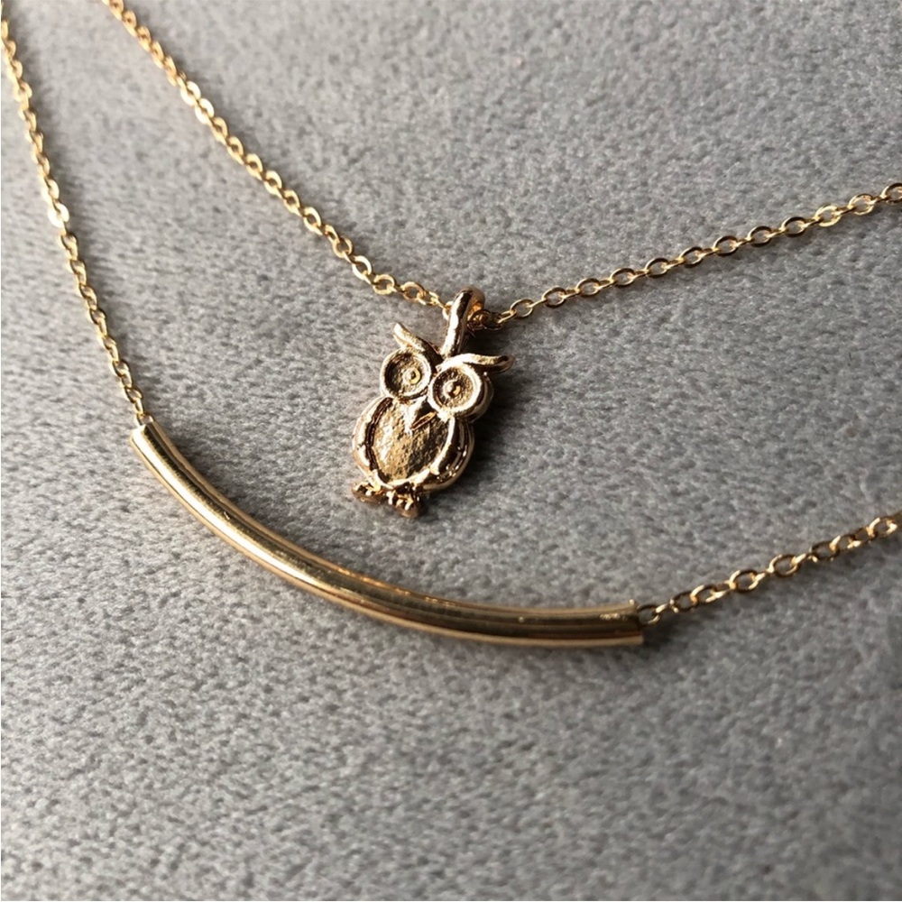 Wisdom ~ Owl & Bar ~ Double Layered Necklace ~ Brand New!
